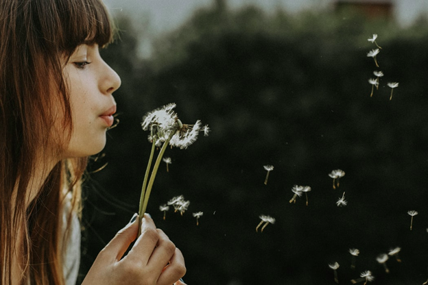 girl blowing seeds off dandelion