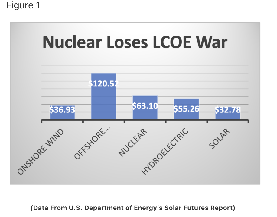 Figure depicting Nuclear LCOE loss